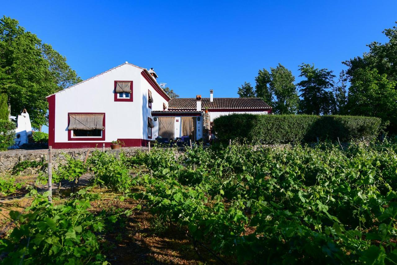 Quinta Da Dourada Hotel Portalegre Eksteriør billede